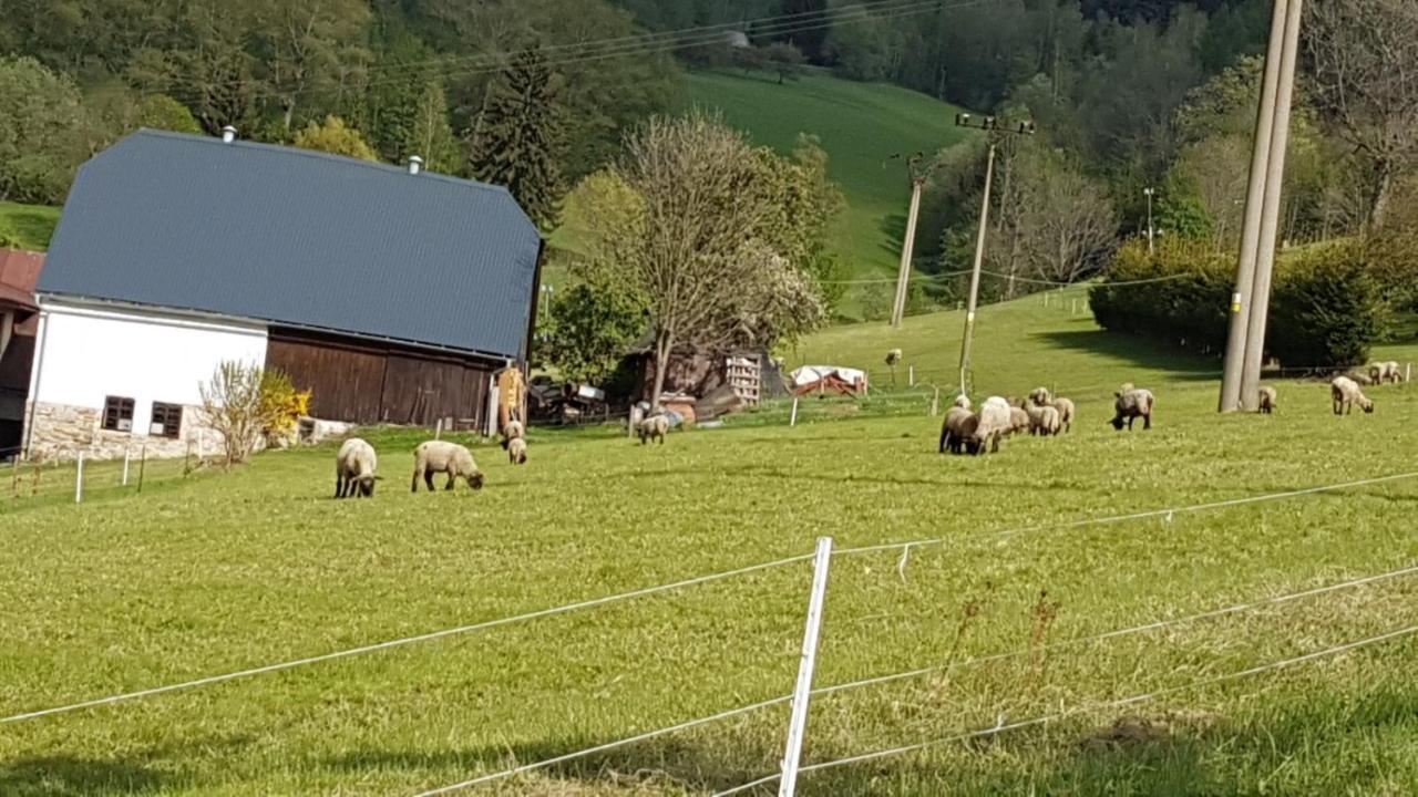 Apartmán Rokytnice, Rokytno 20 Rokytnice nad Jizerou Esterno foto