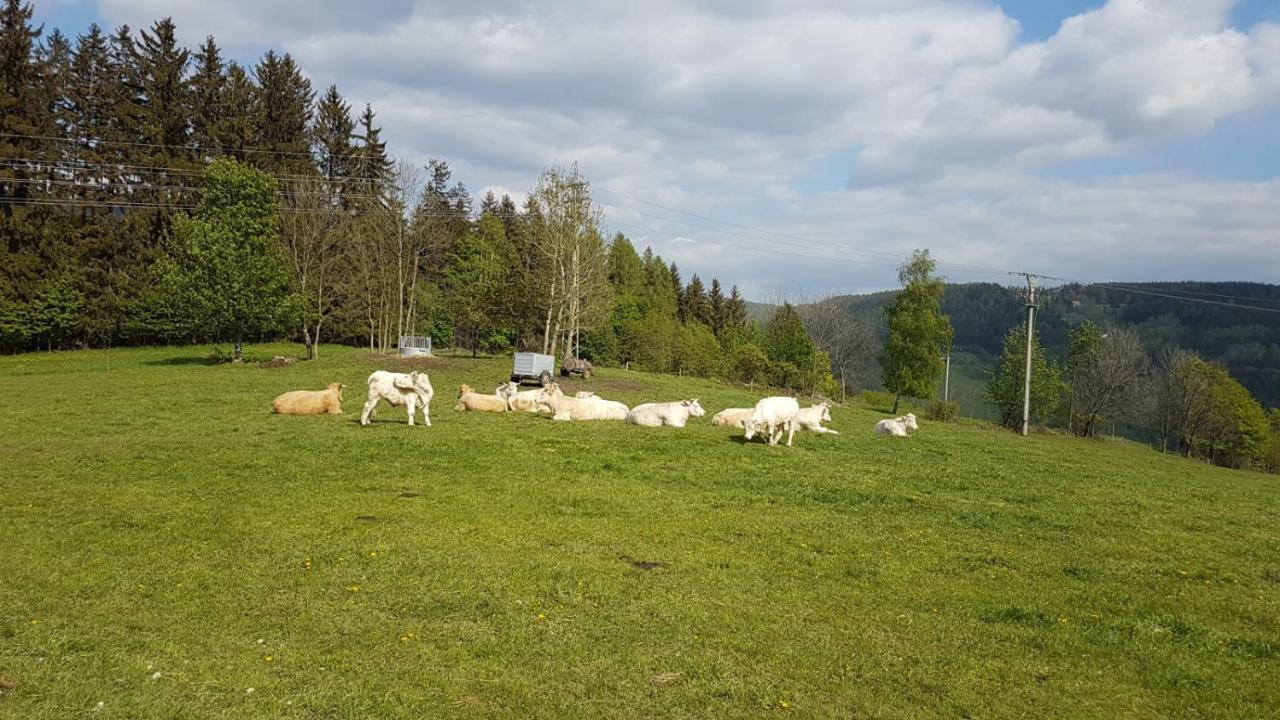 Apartmán Rokytnice, Rokytno 20 Rokytnice nad Jizerou Esterno foto