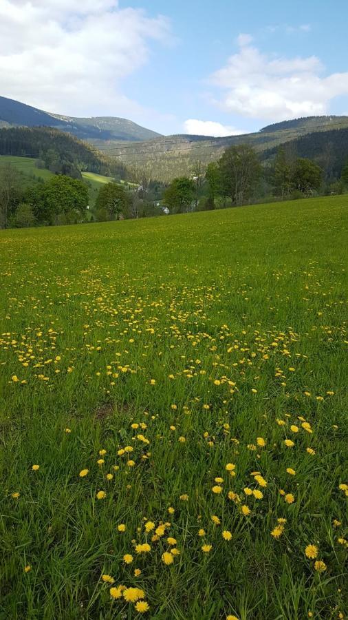 Apartmán Rokytnice, Rokytno 20 Rokytnice nad Jizerou Esterno foto